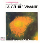 vignette